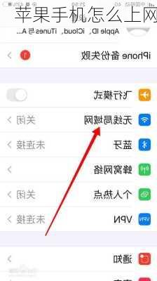 苹果手机怎么上网