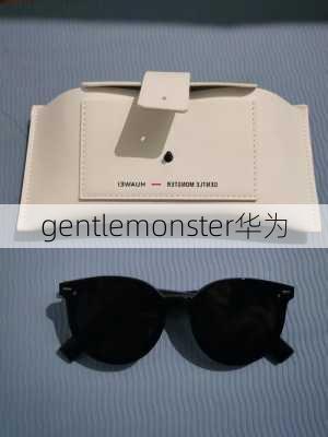 gentlemonster华为