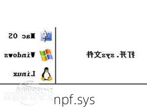 npf.sys