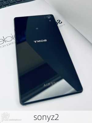 sonyz2