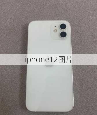 iphone12图片