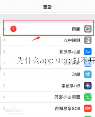 为什么app store打不开