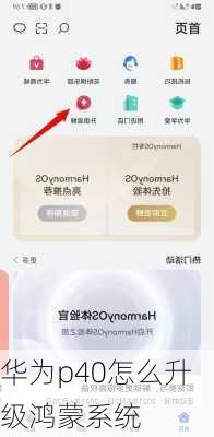 华为p40怎么升级鸿蒙系统