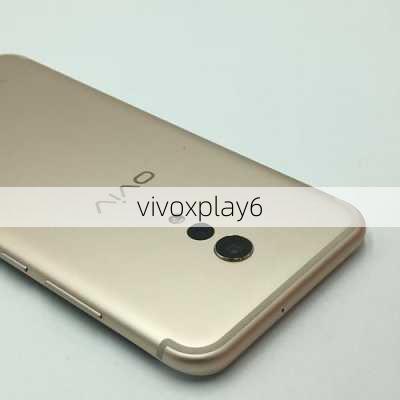 vivoxplay6