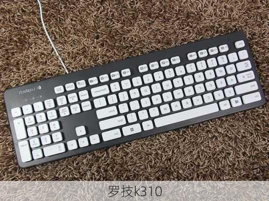 罗技k310