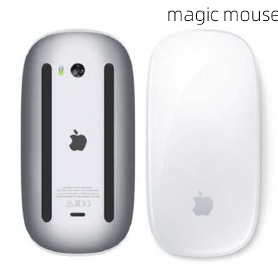 magic mouse