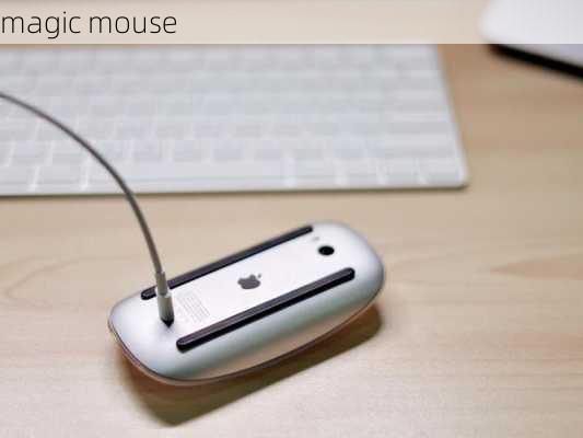 magic mouse