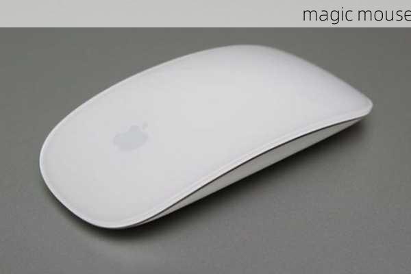 magic mouse