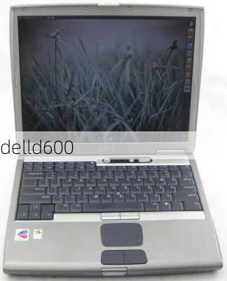 delld600