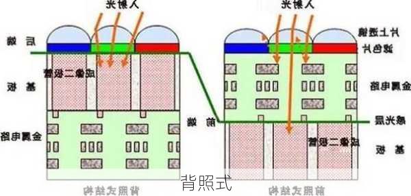 背照式