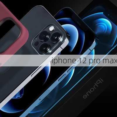 iphone 12 pro max