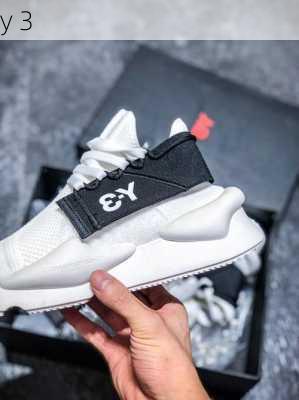 y 3