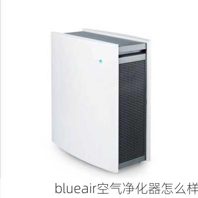 blueair空气净化器怎么样