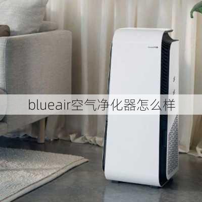 blueair空气净化器怎么样