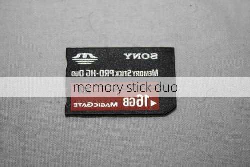 memory stick duo