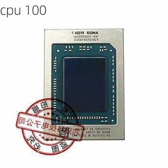 cpu 100