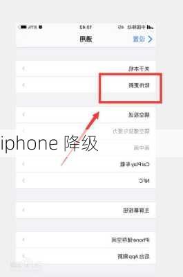 iphone 降级