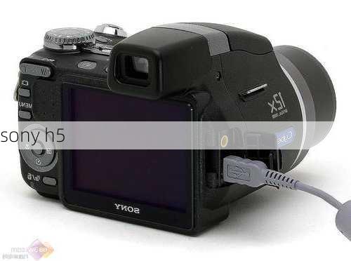 sony h5