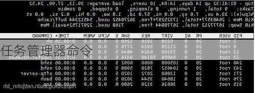 任务管理器命令