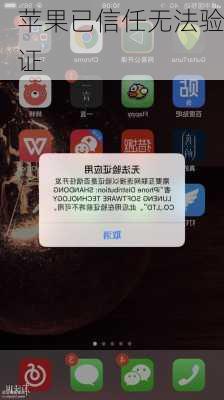 苹果已信任无法验证