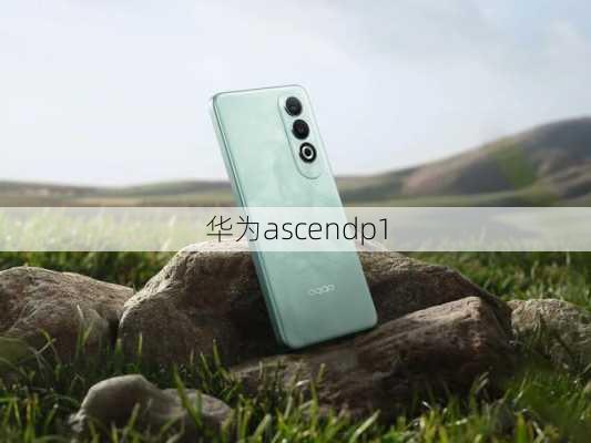 华为ascendp1