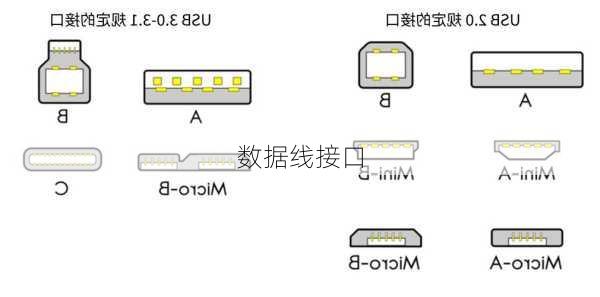 数据线接口