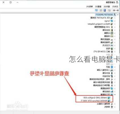 怎么看电脑显卡