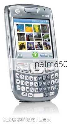 palm650