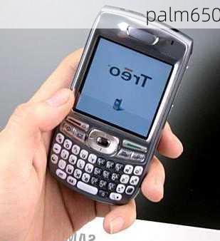 palm650