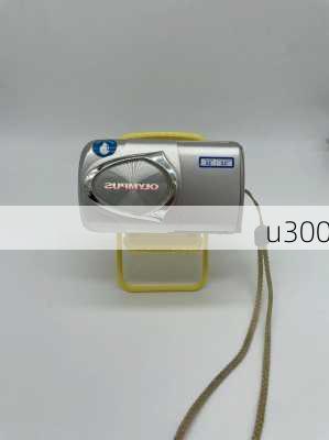 u300