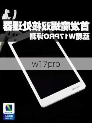 w17pro