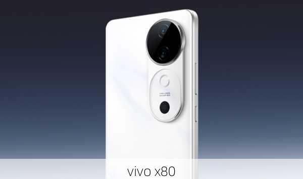 vivo x80