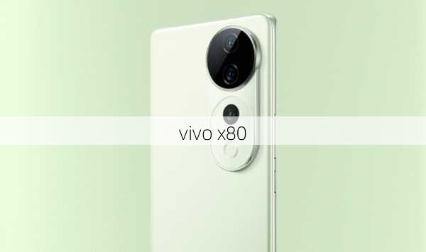 vivo x80