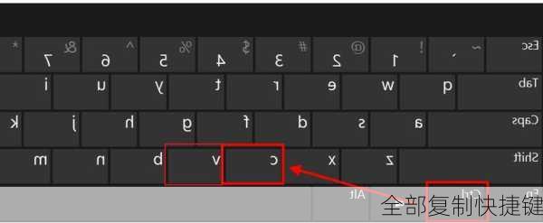全部复制快捷键