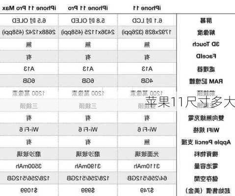 苹果11尺寸多大