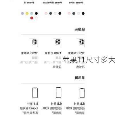 苹果11尺寸多大