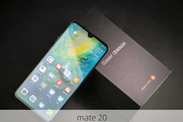 mate 20