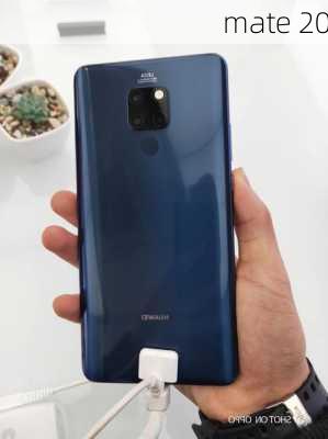 mate 20