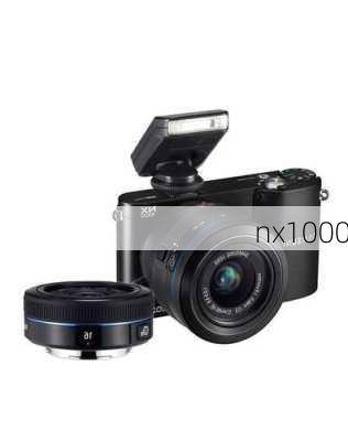 nx1000