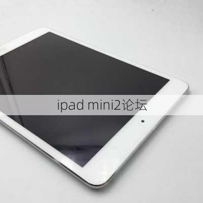 ipad mini2论坛