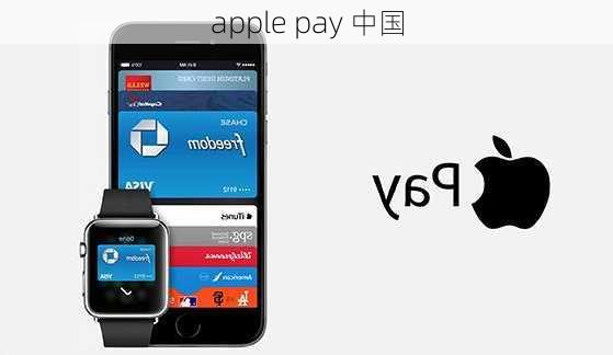 apple pay 中国