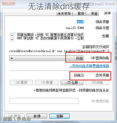 无法清除dns缓存