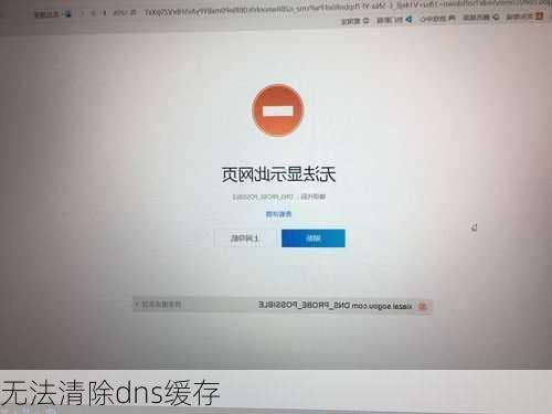 无法清除dns缓存