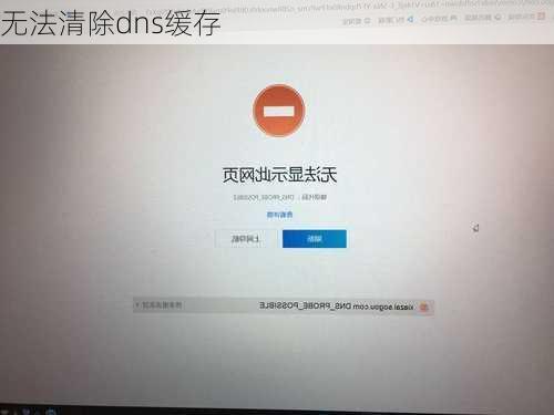 无法清除dns缓存