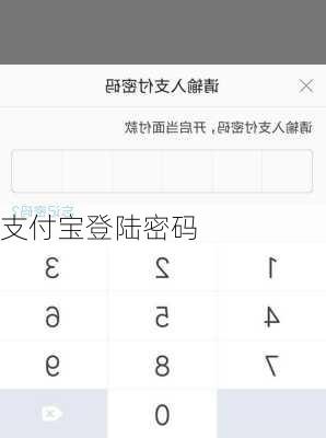 支付宝登陆密码