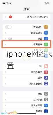 iphone网络设置