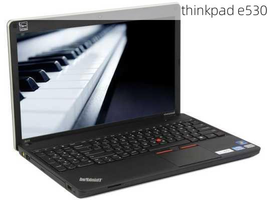 thinkpad e530