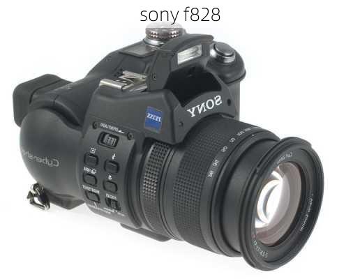 sony f828