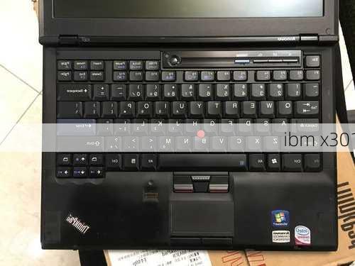 ibm x301