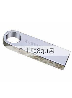 金士顿8gu盘